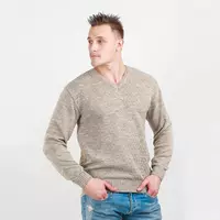 Пуловер мужской 606459