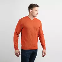 Пуловер мужской 606454